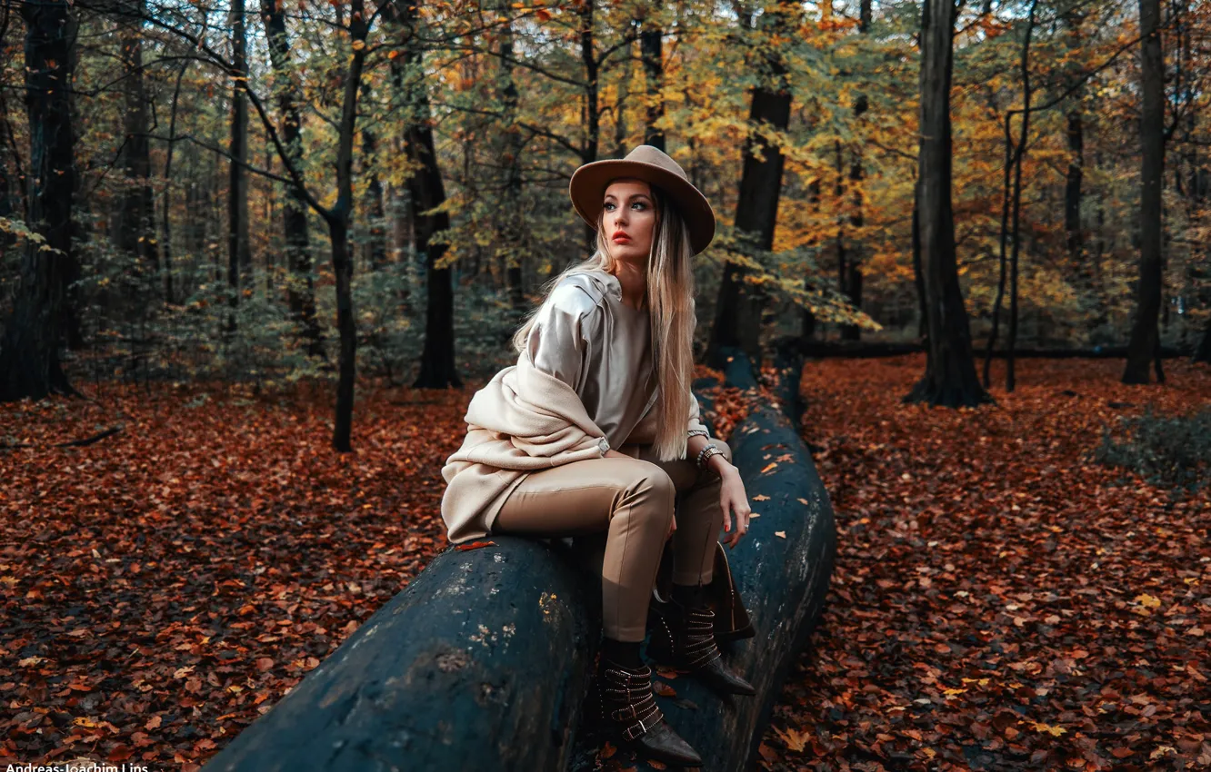 Фото обои осень, лес, листья, деревья, поза, парк, модель, портрет