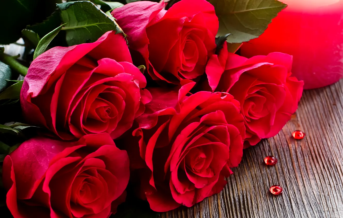 Фото обои розы, букет, красные, крупным планом