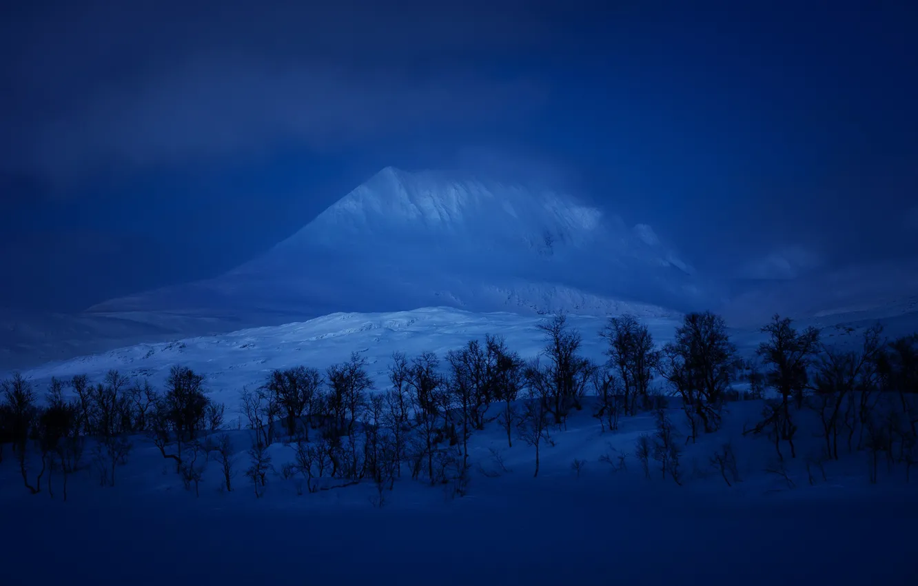 Фото обои зима, снег, деревья, горы, синева, сумерки