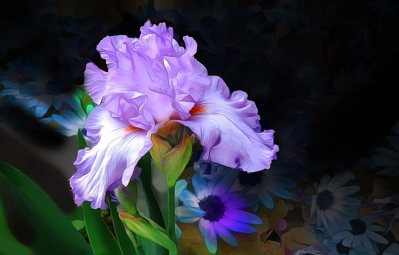 Фото обои цветок, макро, линии, краски, лепестки, ирис