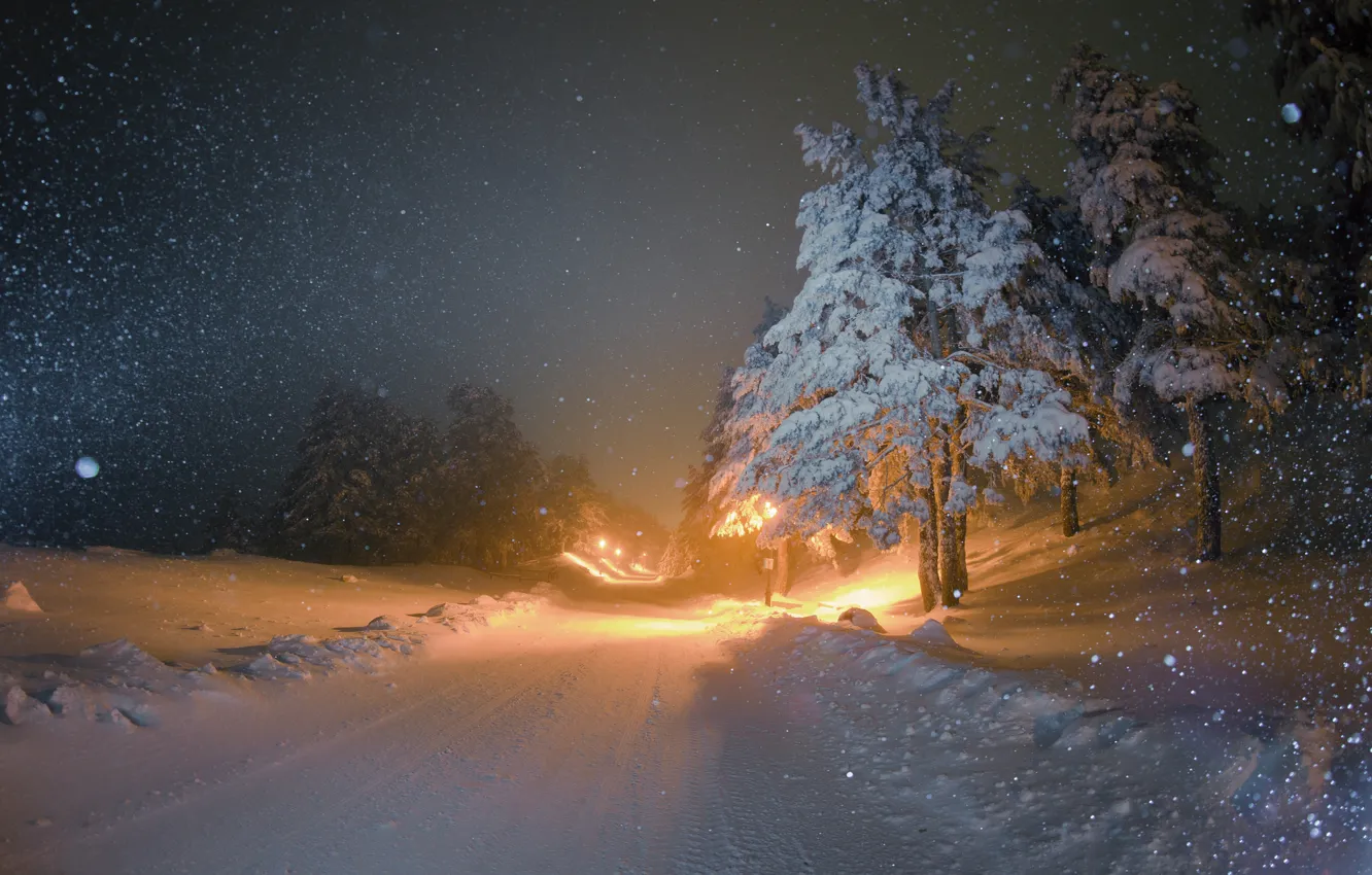 Фото обои зима, дорога, снег, ночь, елки, освещение, фонари, снегопад