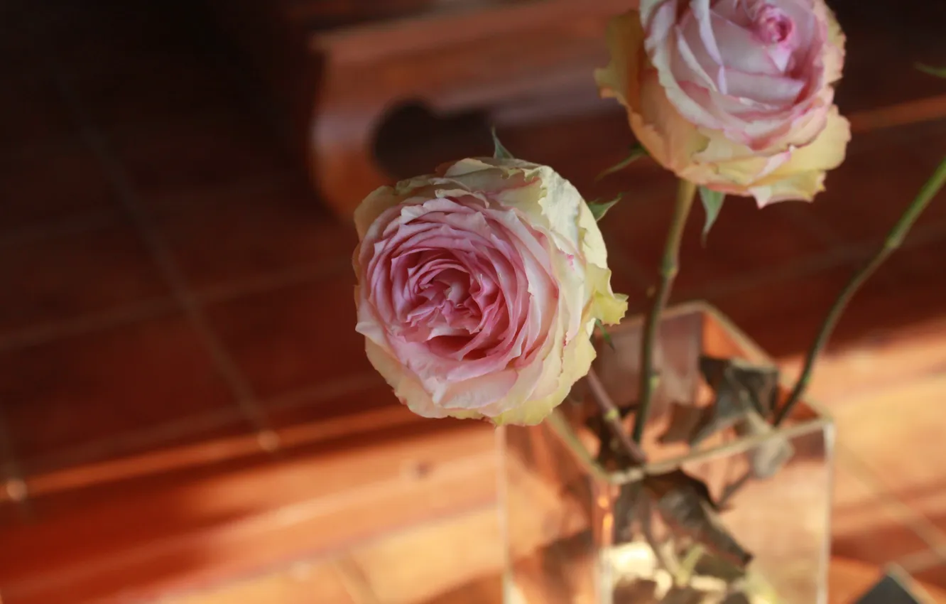Фото обои листья, розы, ваза