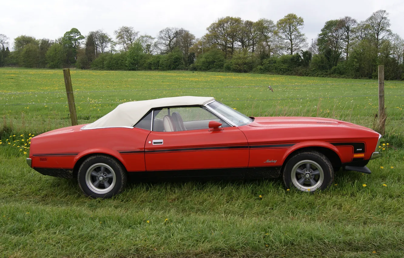 Фото обои природа, Mustang, Ford, Форд, Мустанг, классика, Muscle car, 1973