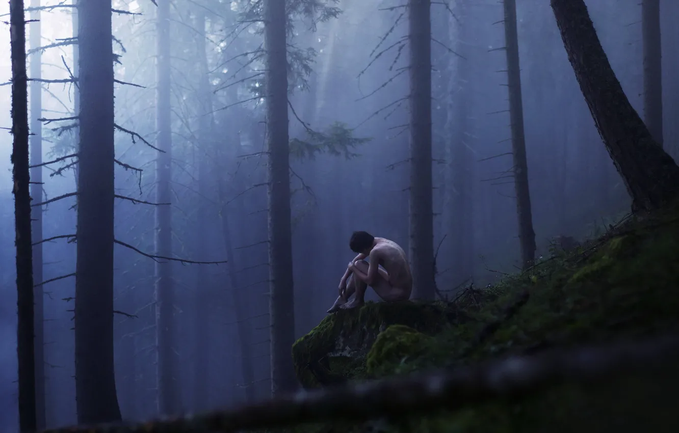 Фото обои лес, туман, парень