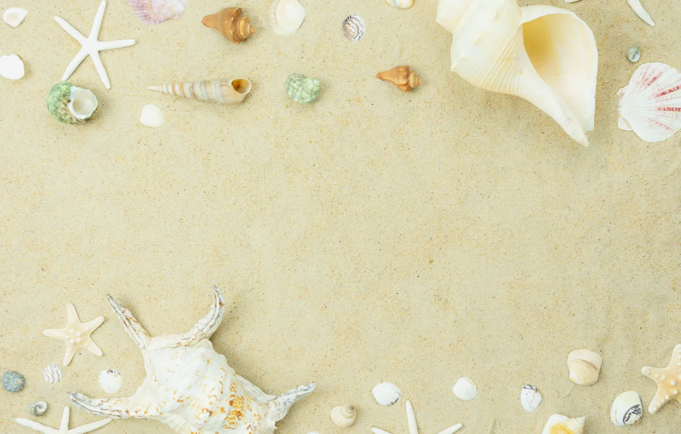 Фото обои песок, пляж, лето, ракушки, summer, beach, sea, sand