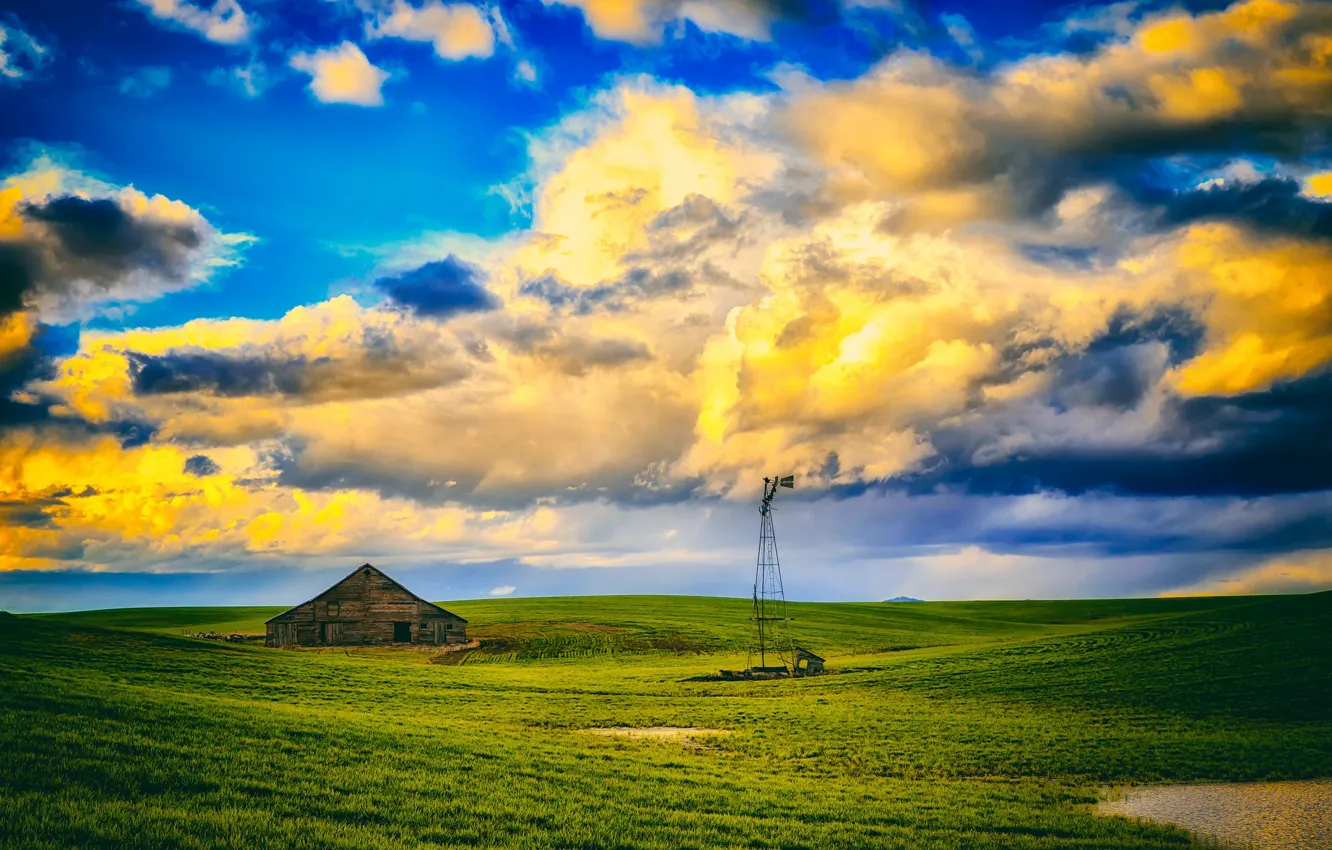 Фото обои поле, дом, ветряк