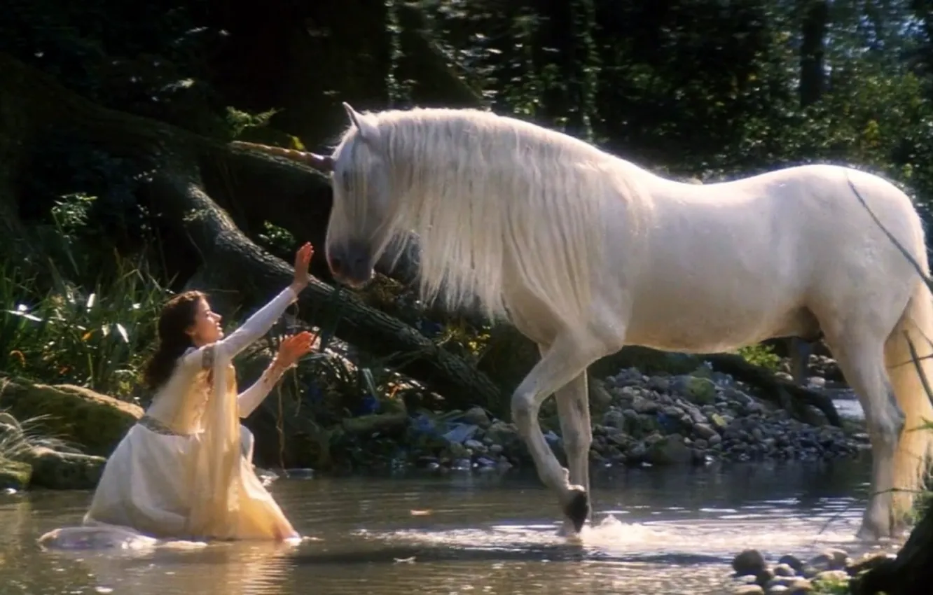 Фото обои fantasy, art, Legend, unicorns