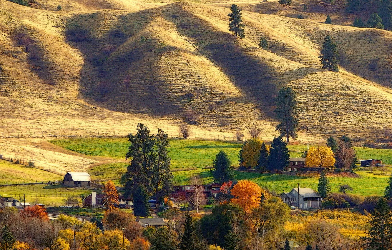 Фото обои поле, осень, деревья, дома, склон