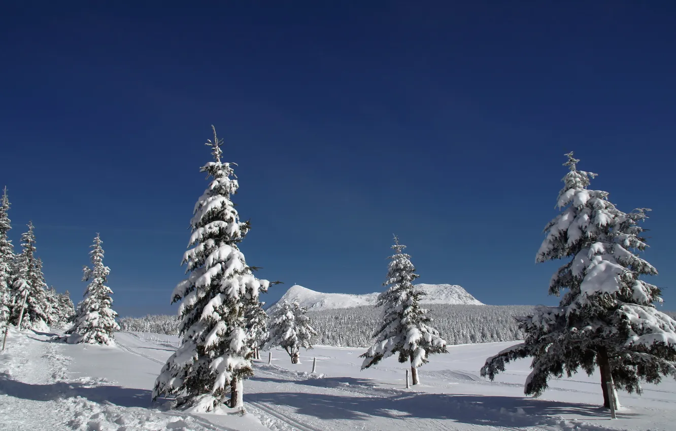 Фото обои winter, ski, snowshoes