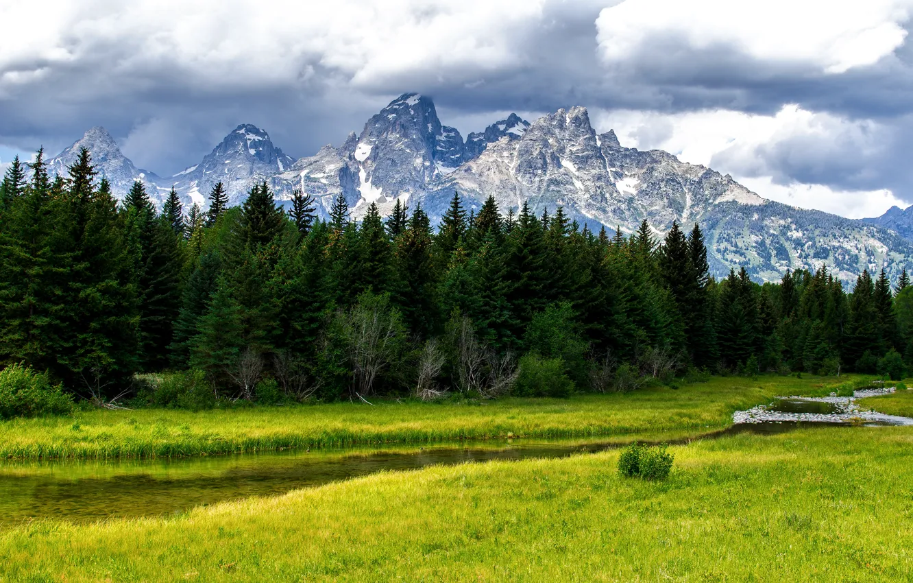 Фото обои лес, деревья, горы, природа, ручей, речка, Grand Teton National Park