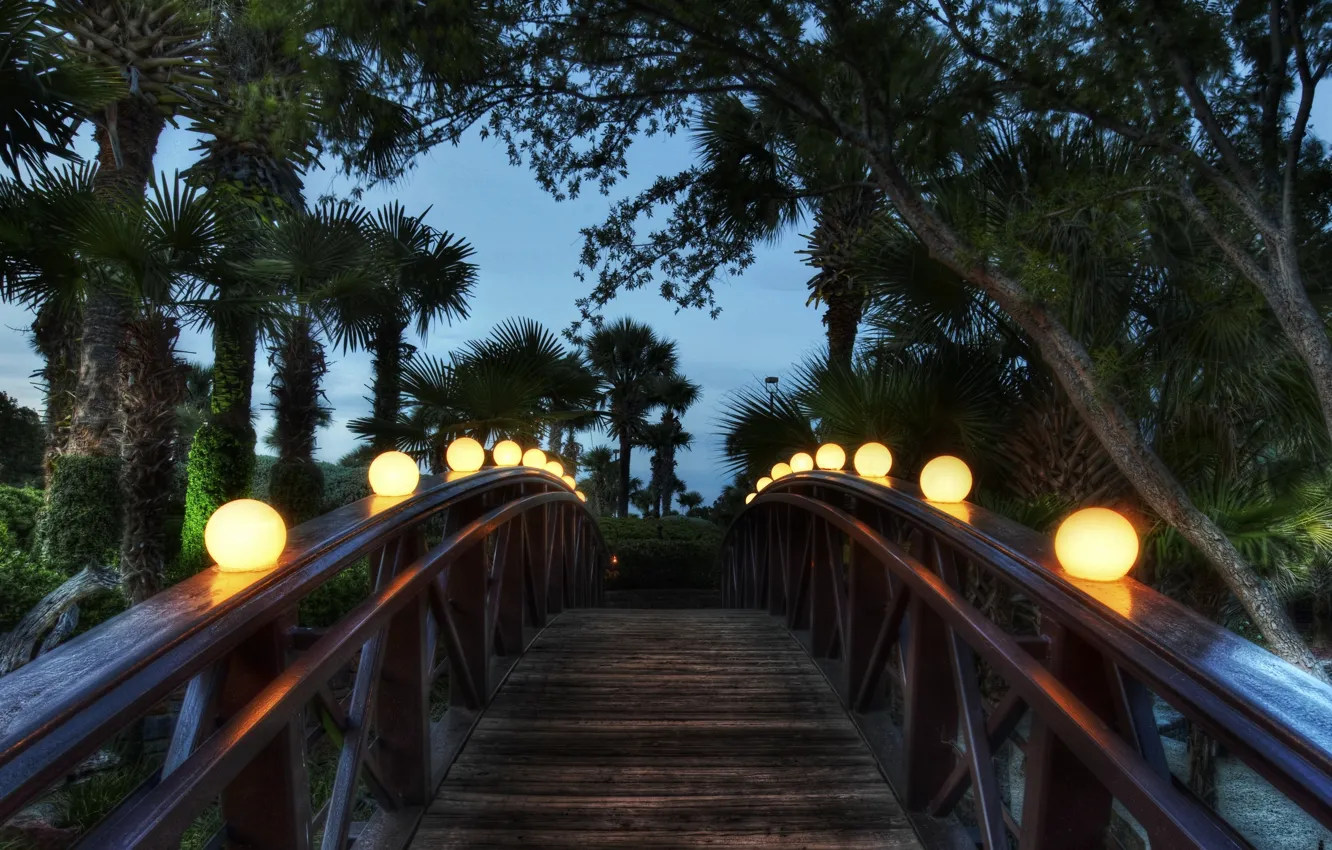 Фото обои мост, пальмы, вечер, фонари