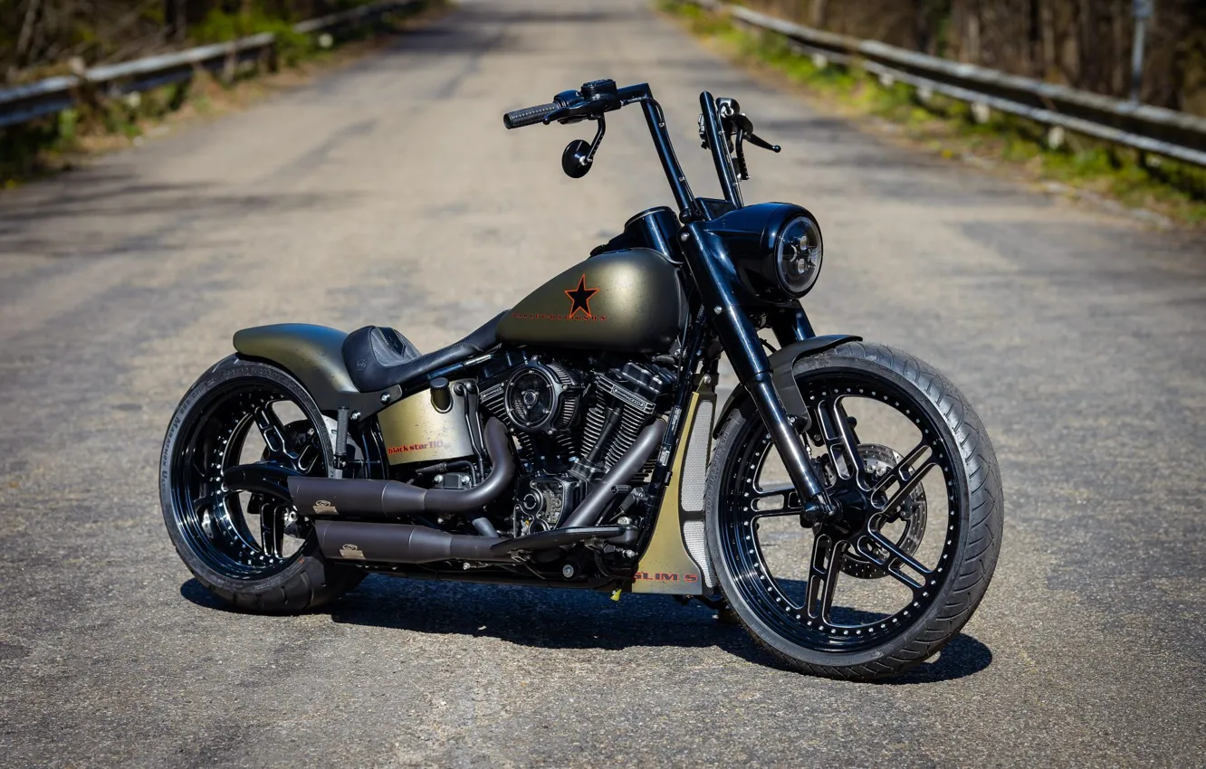 Harley Davidson Fatboy 2021 РѕР±РѕРё