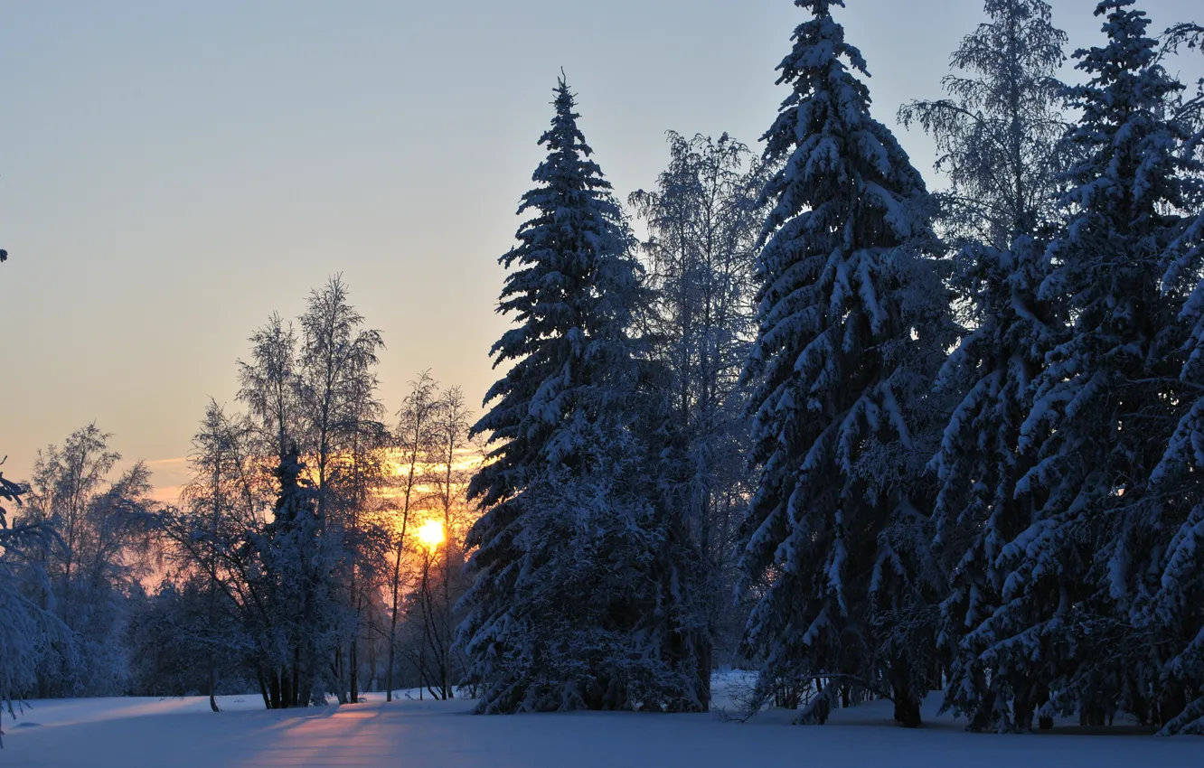 Фото обои холод, зима, лес, рассвет, усть-кут