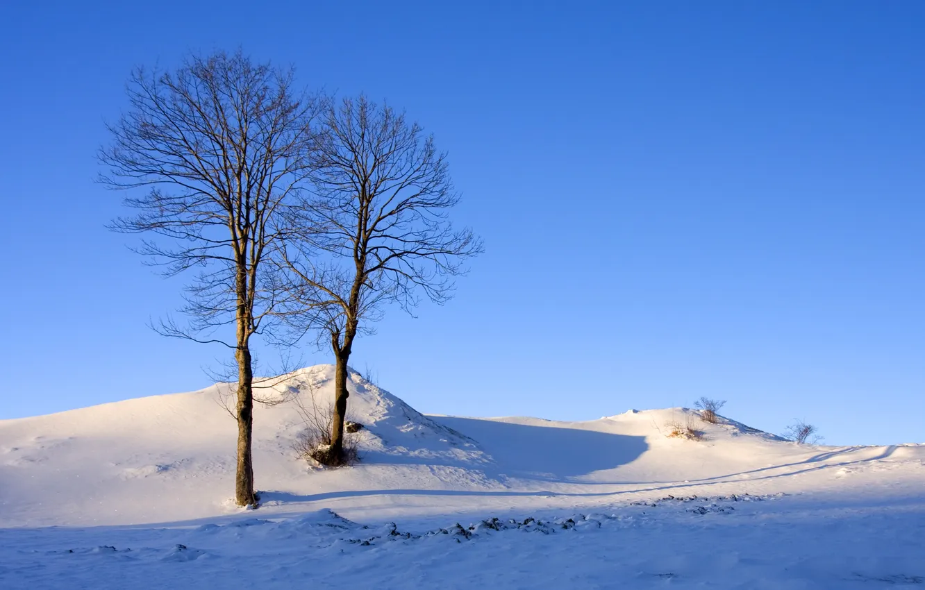 Фото обои зима, небо, снег, деревья, природа, холмы, обои