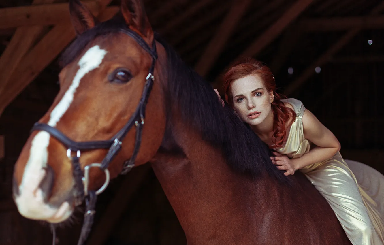Фото обои взгляд, девушка, конь, лошадь, рыжая, рыжеволосая