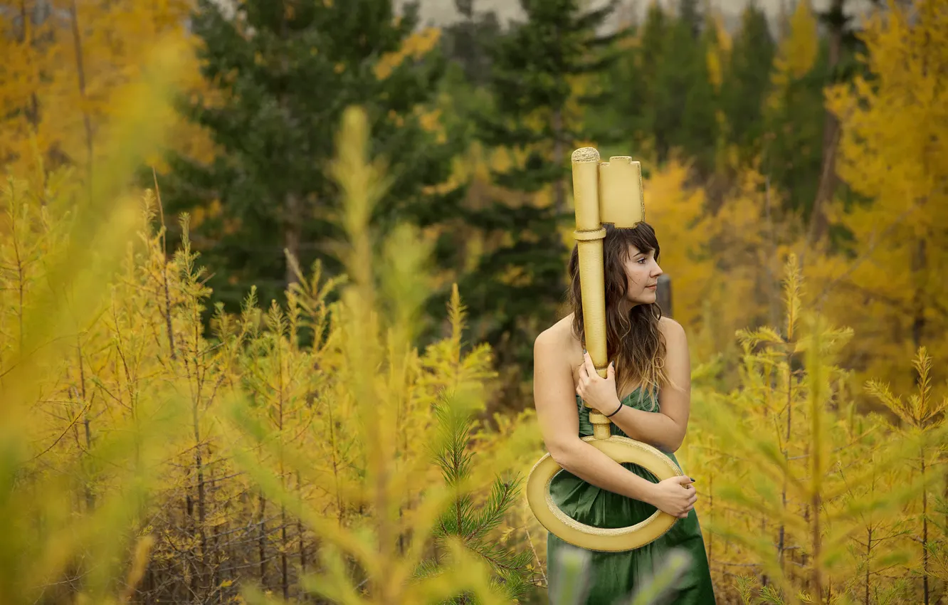 Фото обои осень, лес, девушка, ключ, Everlasting Light