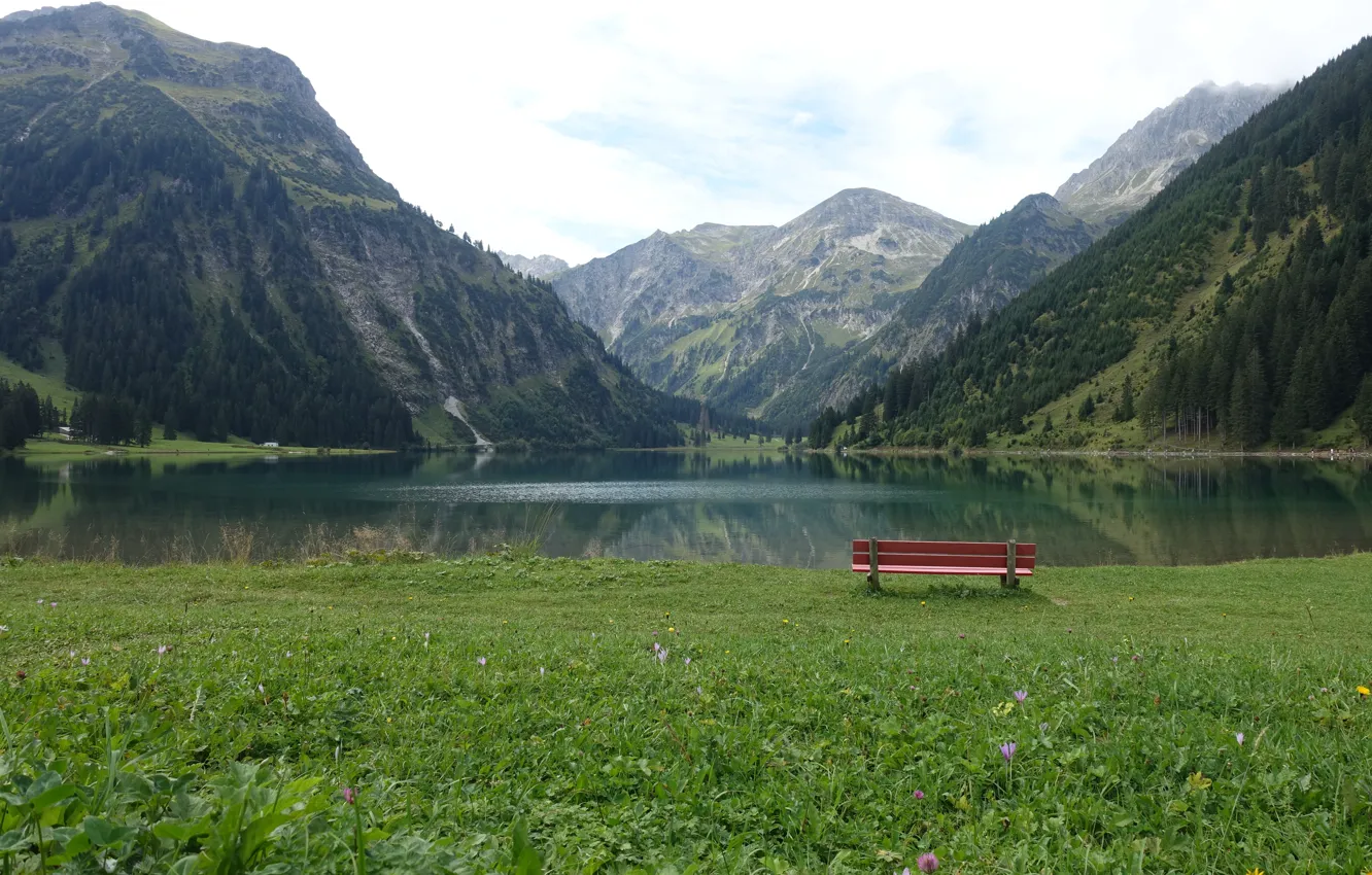 Фото обои горы, скамейка, озеро, луг, Южная Германия, Алльгой, Аllgau