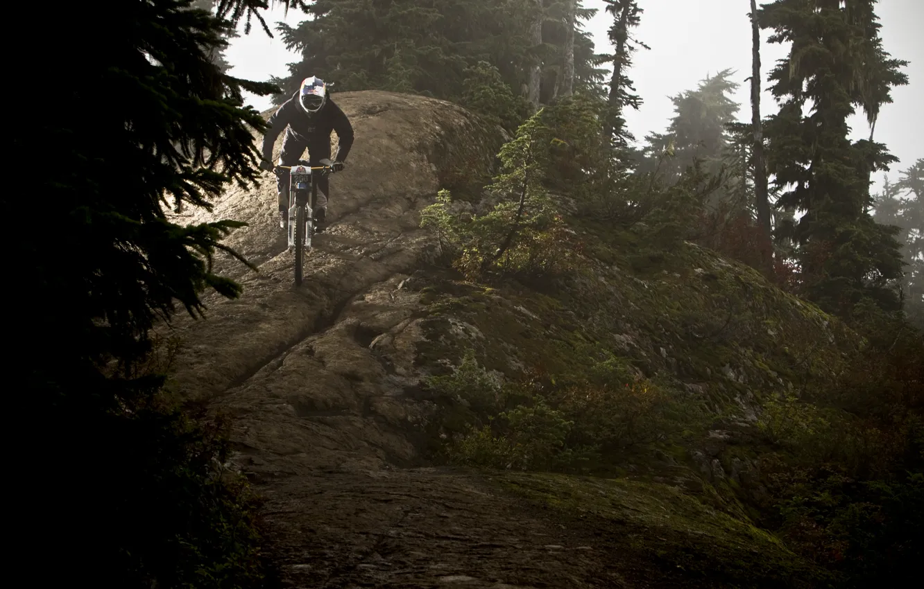Фото обои forest, Sasha Grey, bike, mountain, Jordan Carver, ride