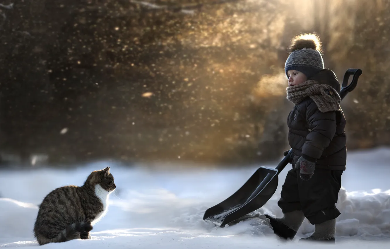 Фото обои кошка, снег, лопата, ребёнок