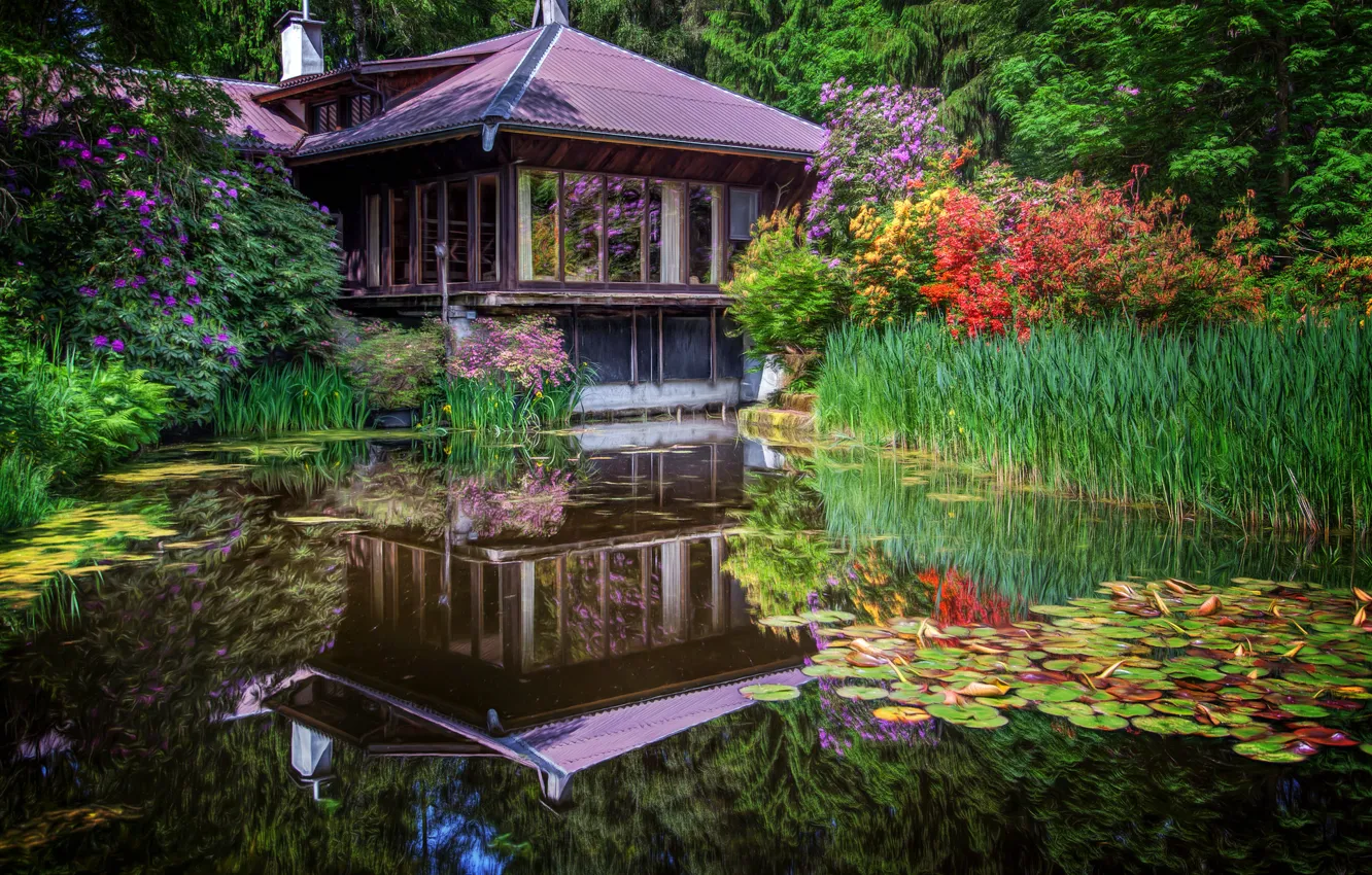 Фото обои цветы, пруд, парк, отражение, камыши, Япония, домик