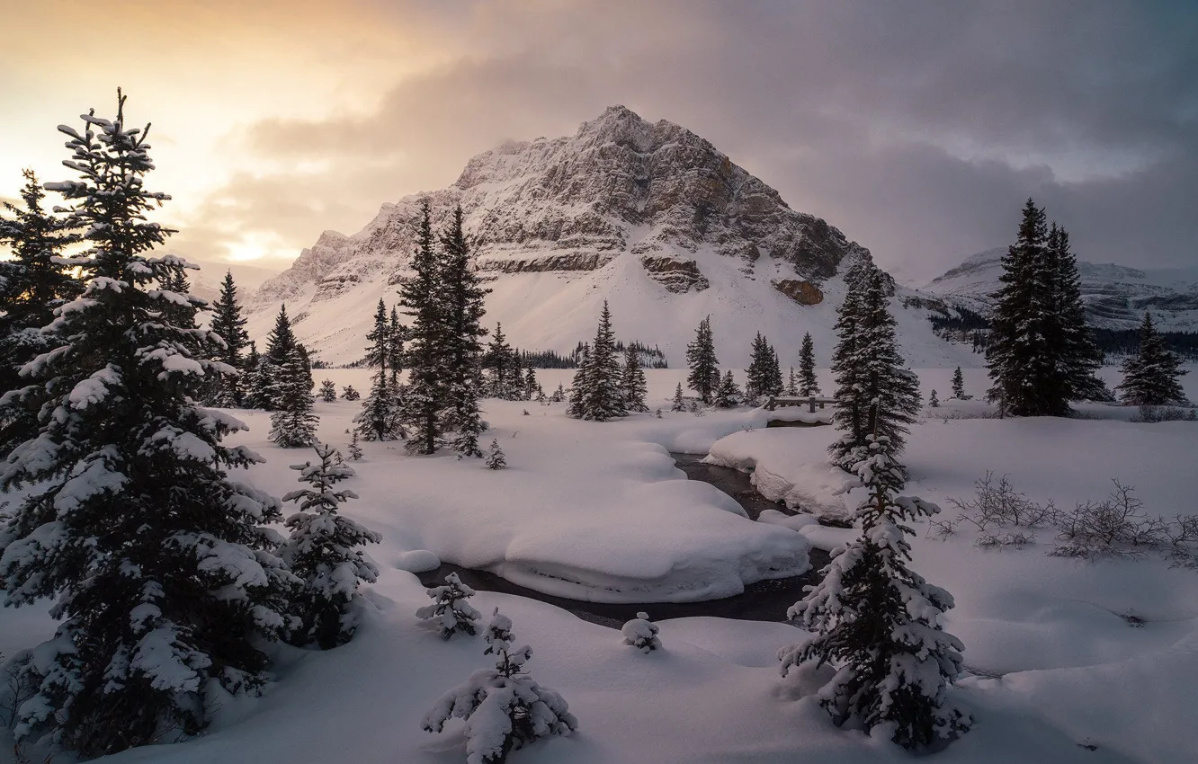 Фото обои зима, лес, небо, облака, свет, снег, горы, скалы