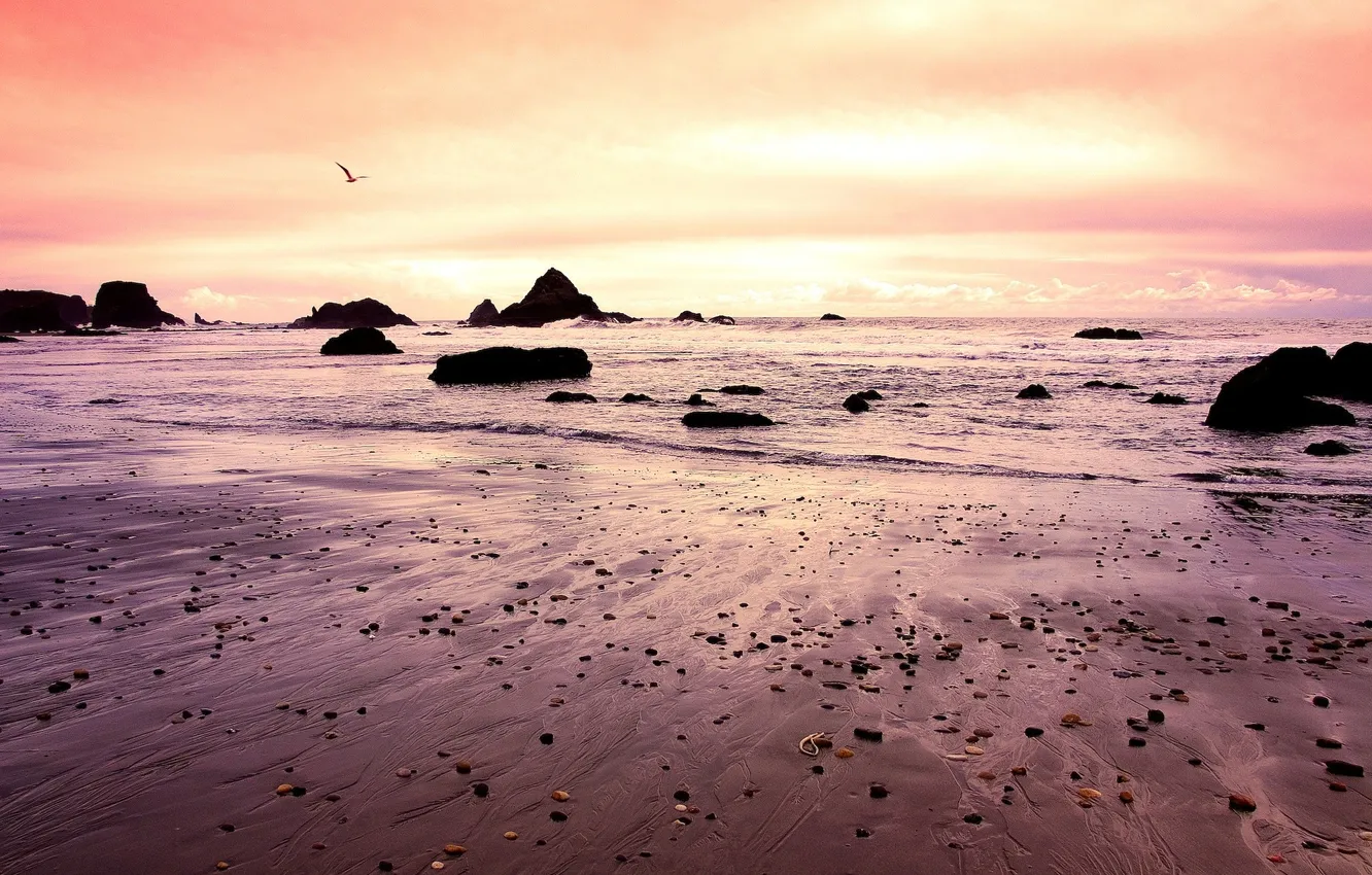 Фото обои закат, природа, океан, побережье