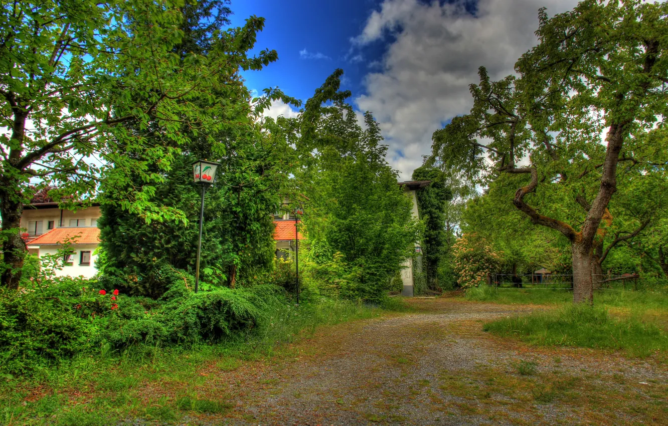 Фото обои зелень, деревья, парк, обработка, Германия, фонари, Wetzlar