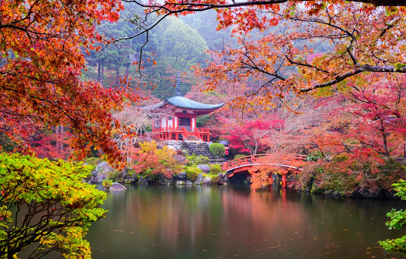 Фото обои осень, листья, деревья, ветки, мост, пруд, парк, камни