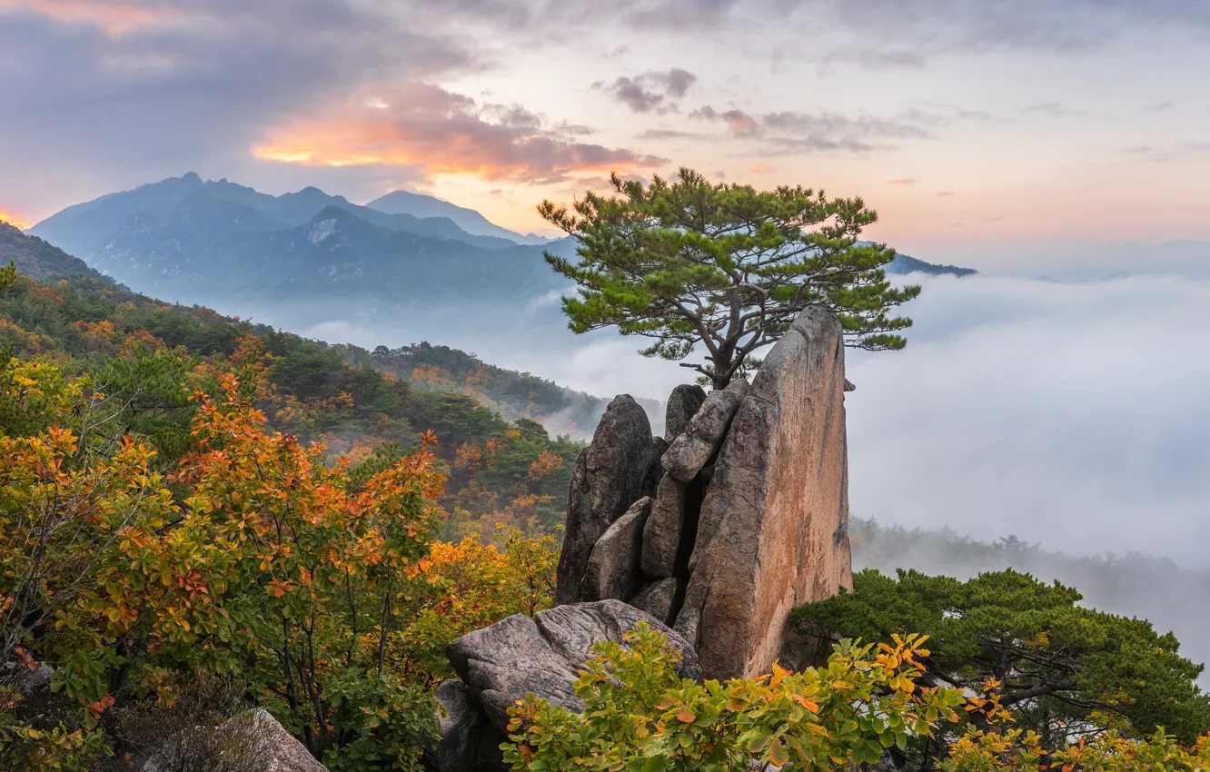 Фото обои осень, облака, пейзаж, горы, природа, туман, дерево, скалы