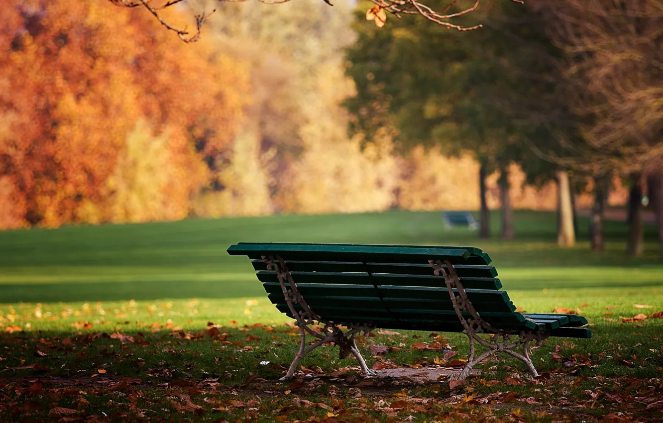 Фото обои осень, листья, скамейка, природа, парк, настроение, обои, день