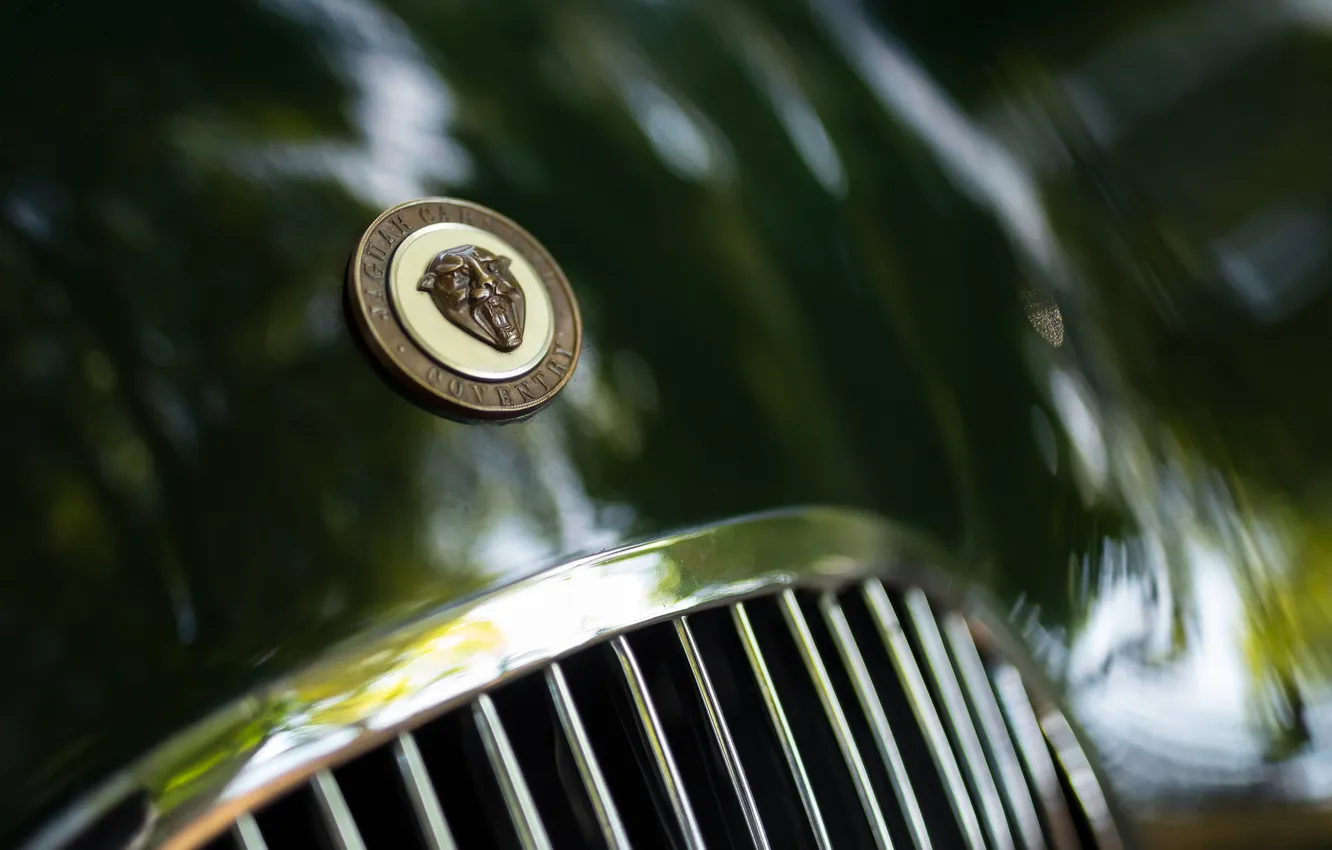 Фото обои Jaguar, ретро автомобили, гоночный автомобиль, racing car, sports car, спортивный автомобиль, единственный экземпляр, 1952