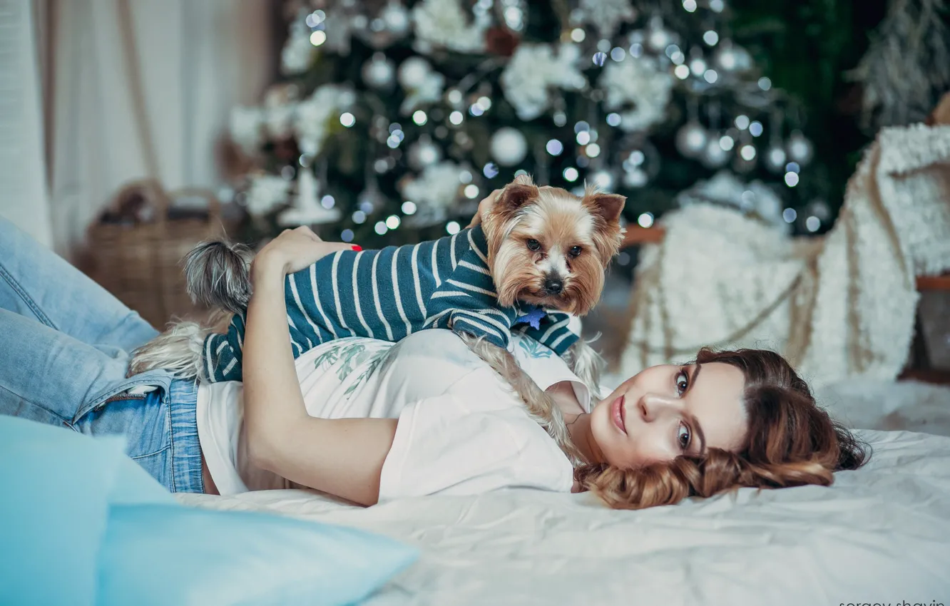Фото обои взгляд, девушка, настроение, собака, постель, пёсик, йоркширский терьер, Сергей Шавин