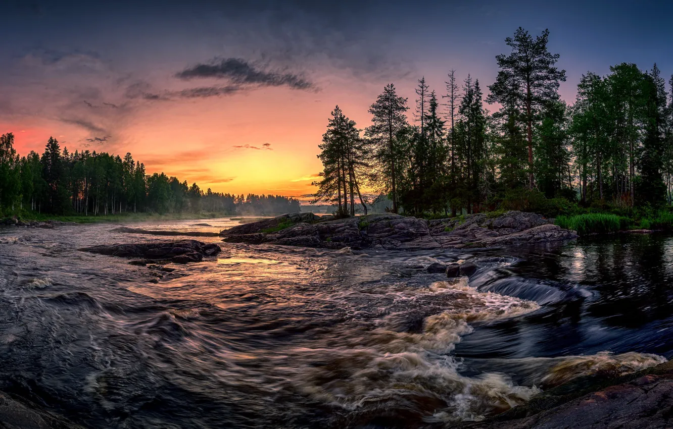 Фото обои лес, закат, река