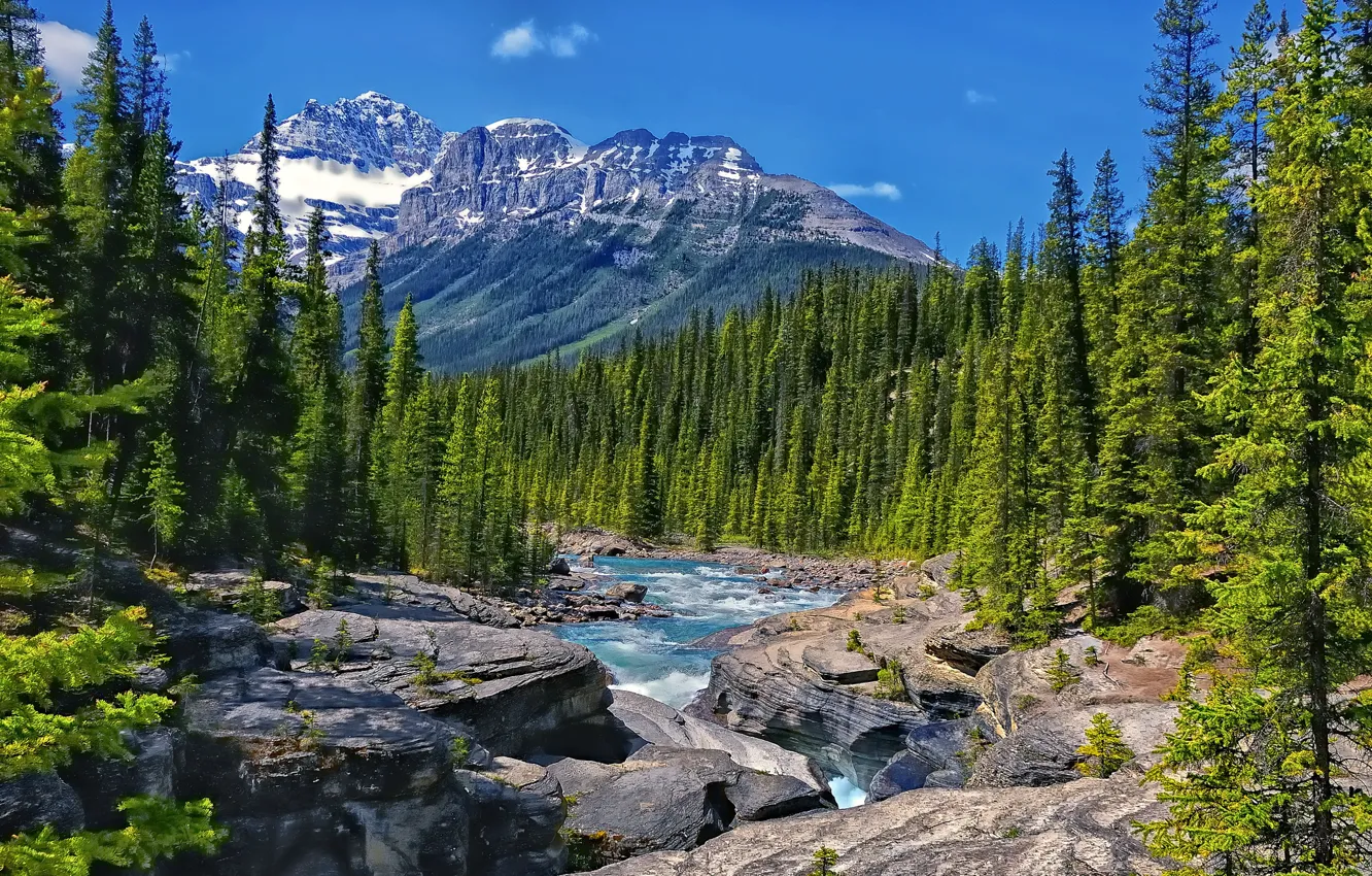 Фото обои лес, деревья, горы, река, скалы, Канада, Альберта, Alberta