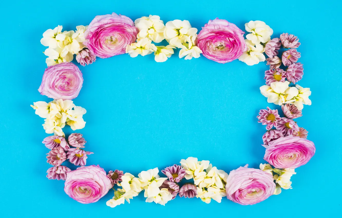Фото обои цветы, фон, розы, white, белые, бутоны, fresh, pink