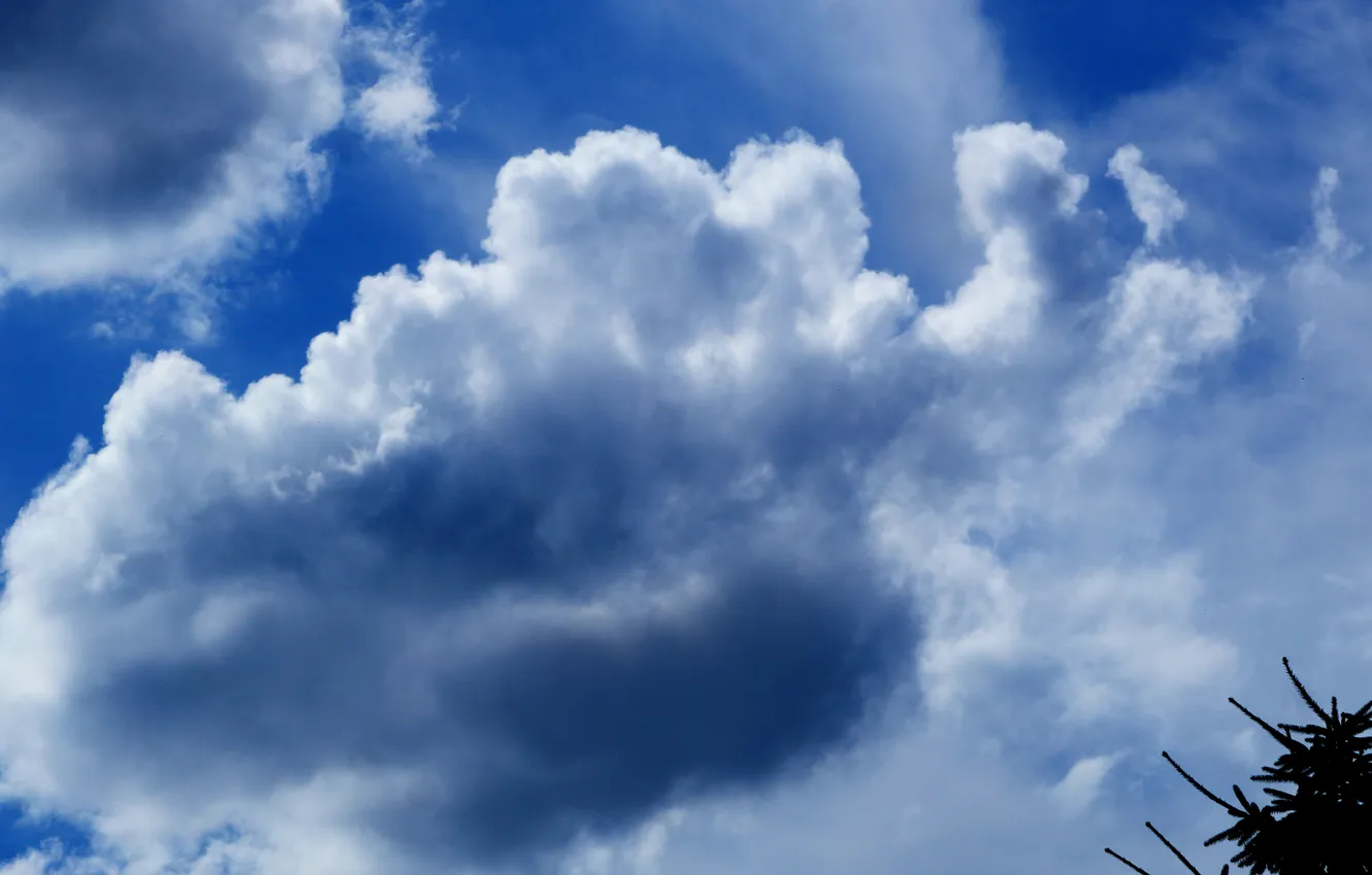 Фото обои sky, blue, cloud