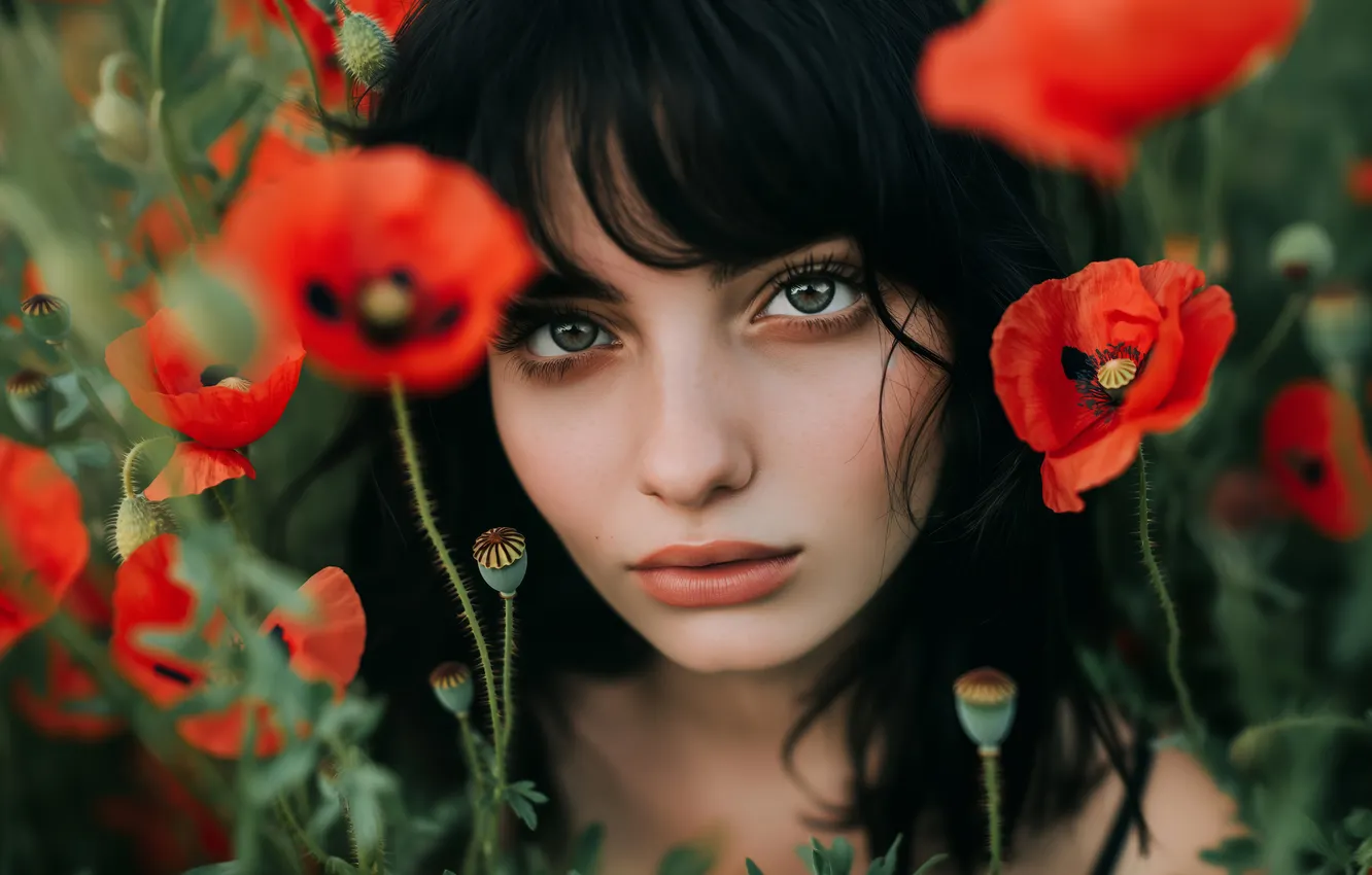 Фото обои лето, взгляд, девушка, цветы, лицо, маки, портрет, брюнетка