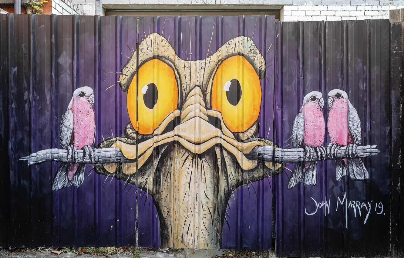 Фото обои Graffiti, Melbourne, Street Art