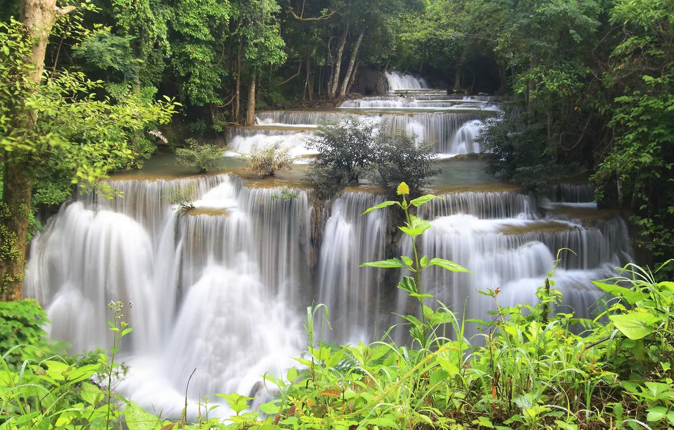 Фото обои лес, деревья, река, камни, водопад, поток, джунгли, Thailand