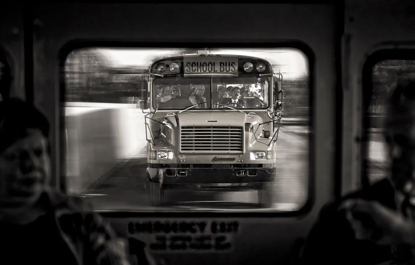 Фото обои автобус, поездка, school bus