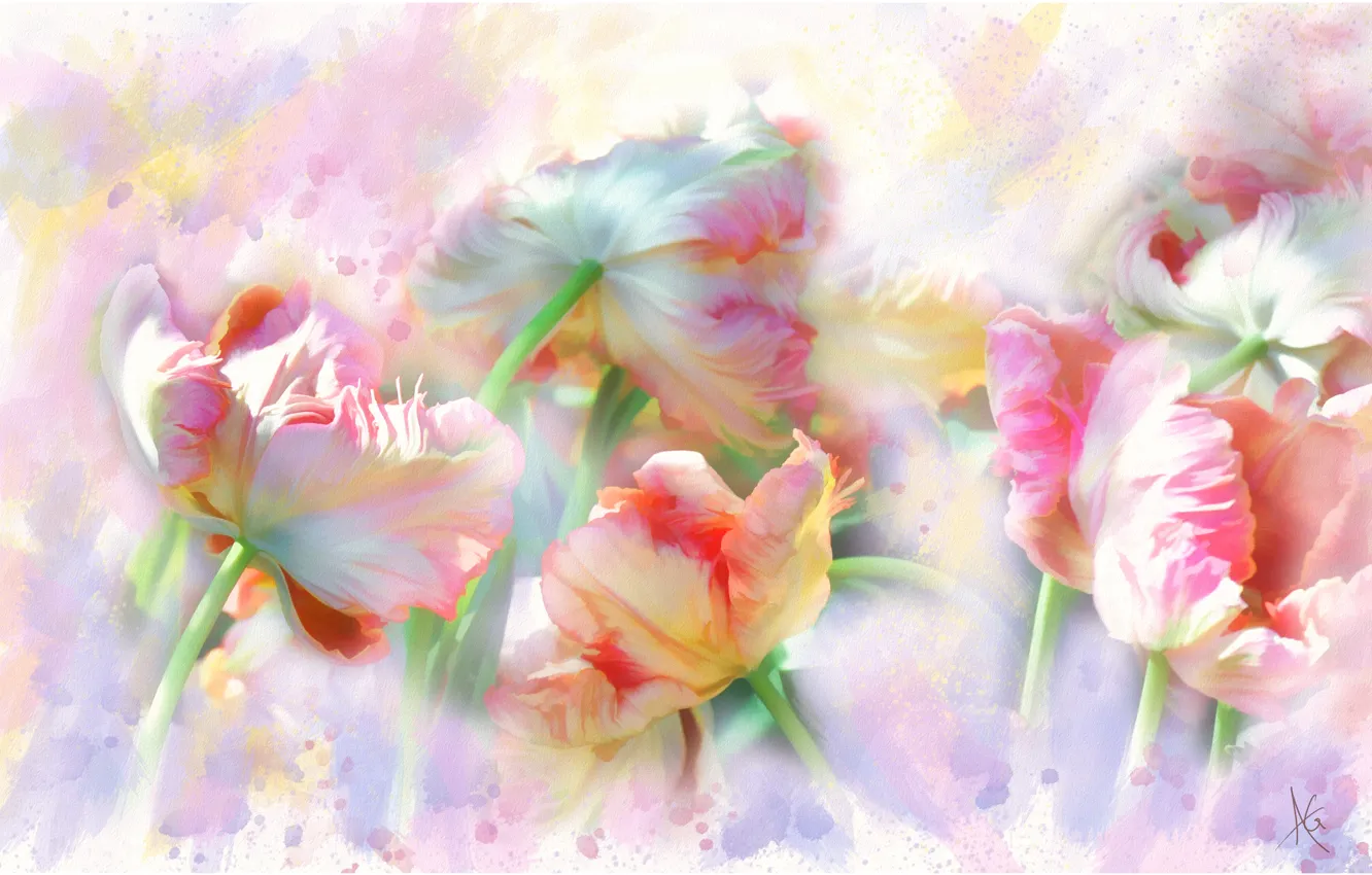 Фото обои цветы, графика, картина, тюльпаны, живопись, нежно, пастельные тона, обои от lolita777