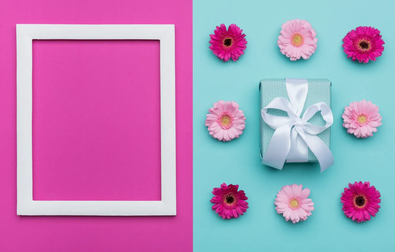 Фото обои цветы, фон, розовый, праздник, коробка, подарок, голубой, цвет