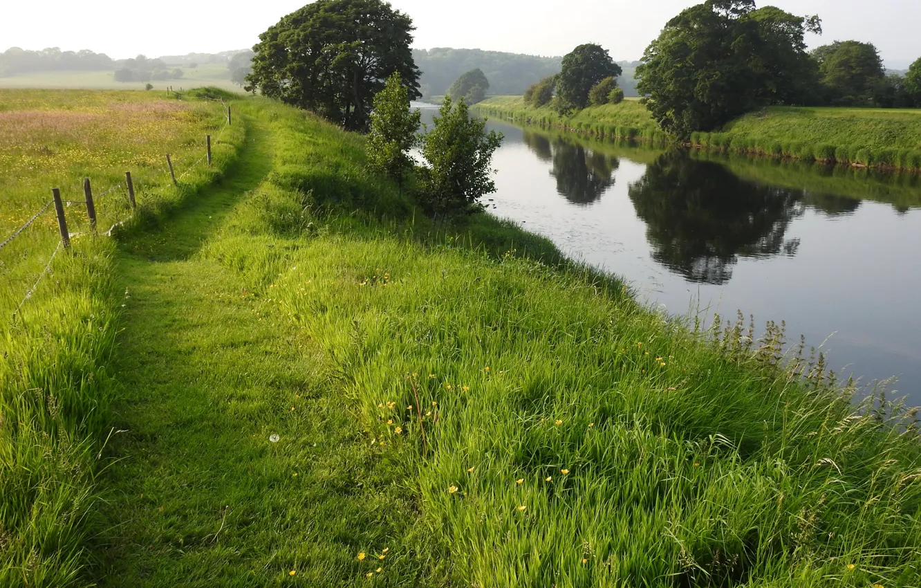 Фото обои зелень, поле, лето, трава, деревья, река, Великобритания, тропинка