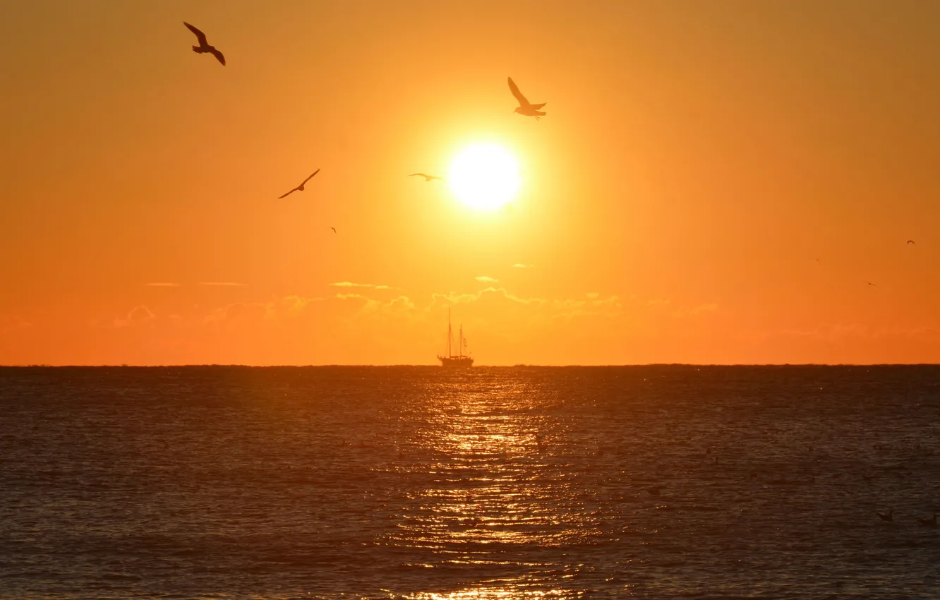 Фото обои море, небо, солнце, птицы, восход, корабль, парусник, горизонт