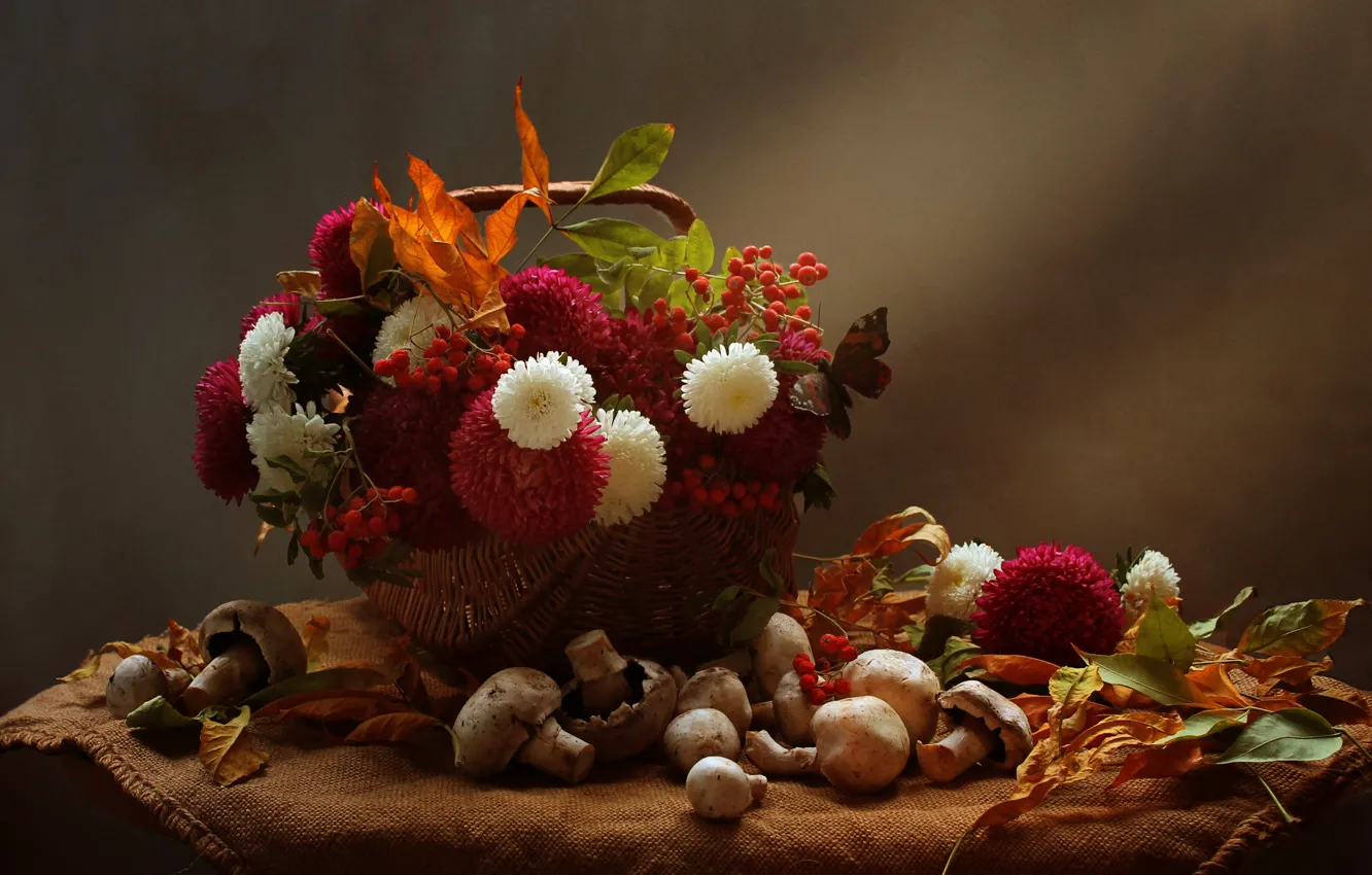 Фото обои осень, листья, цветы, ягоды, корзина, грибы, натюрморт, рябина