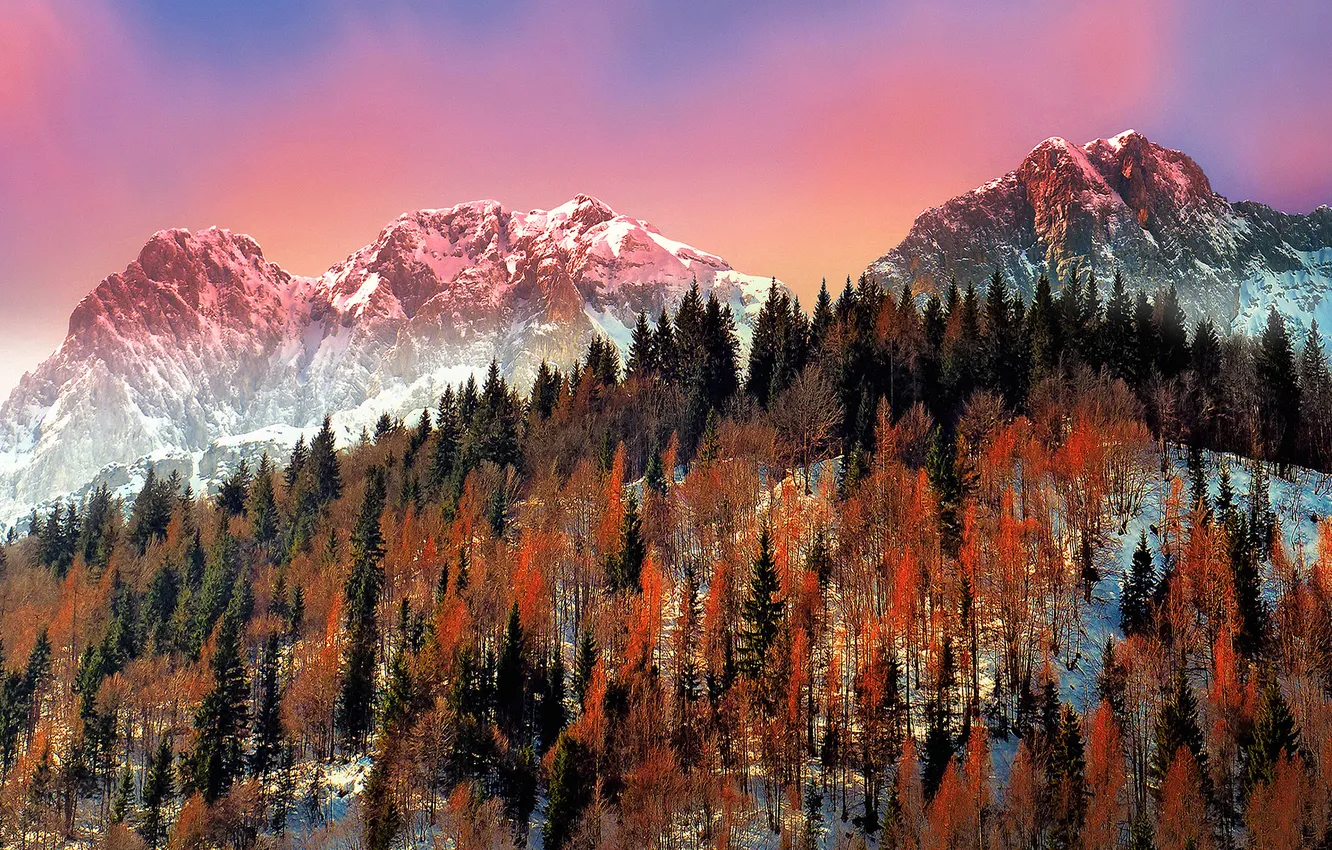 Фото обои зима, снег, деревья, горы, Италия, Ломбардия