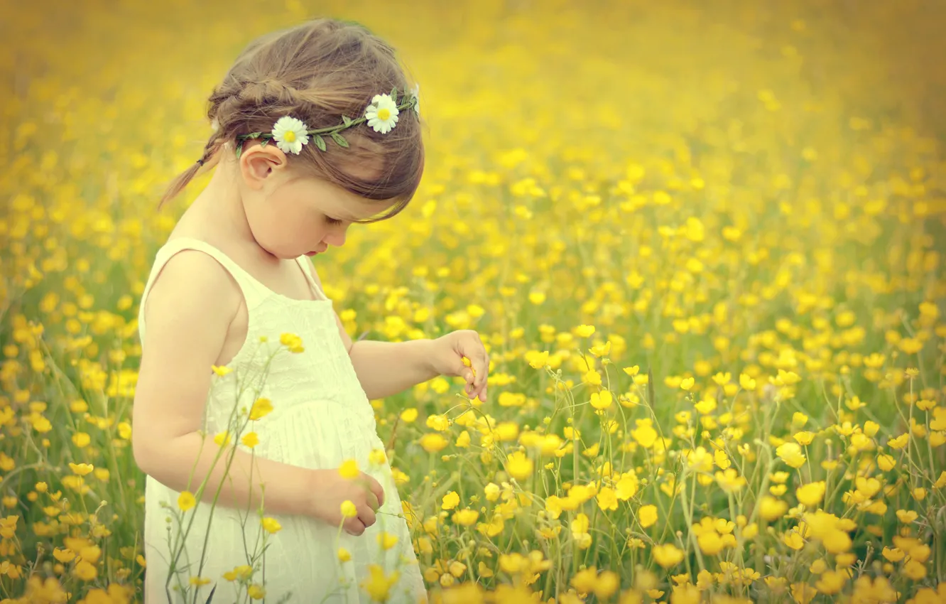 Фото обои поле, цветы, ребенок, girl, field, flowers, child, маленькая девочка