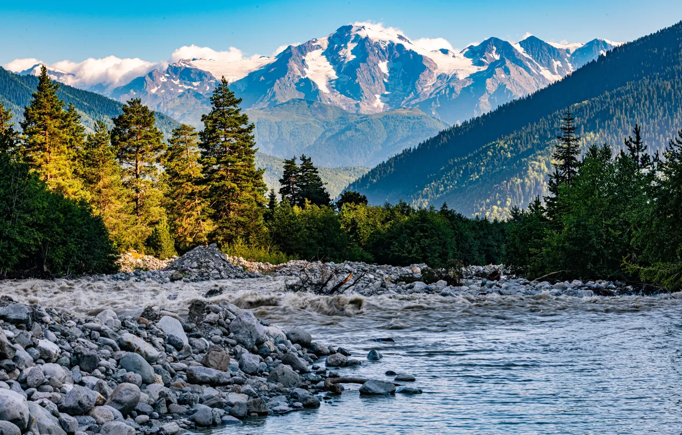 Фото обои лес, горы, камни, речка, Грузия, Upper Svaneti