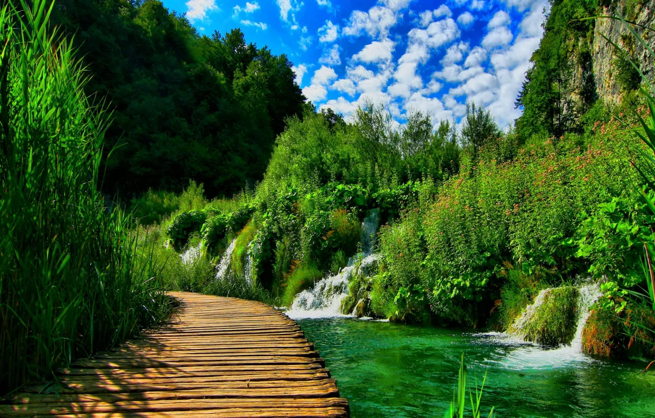 Фото обои лес, пейзаж, природа, река, мостик