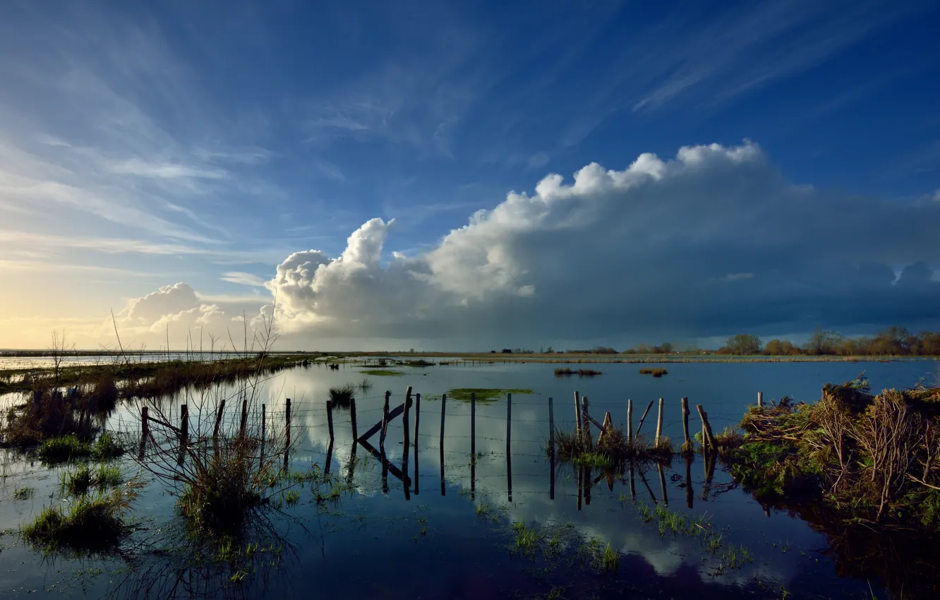 Фото обои трава, облака, озеро, отражение, проволока